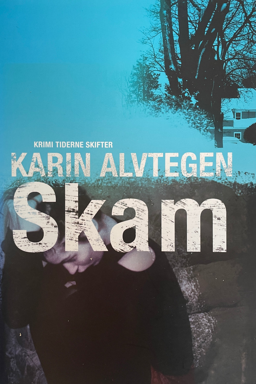 Alvtegen Karin - Skam