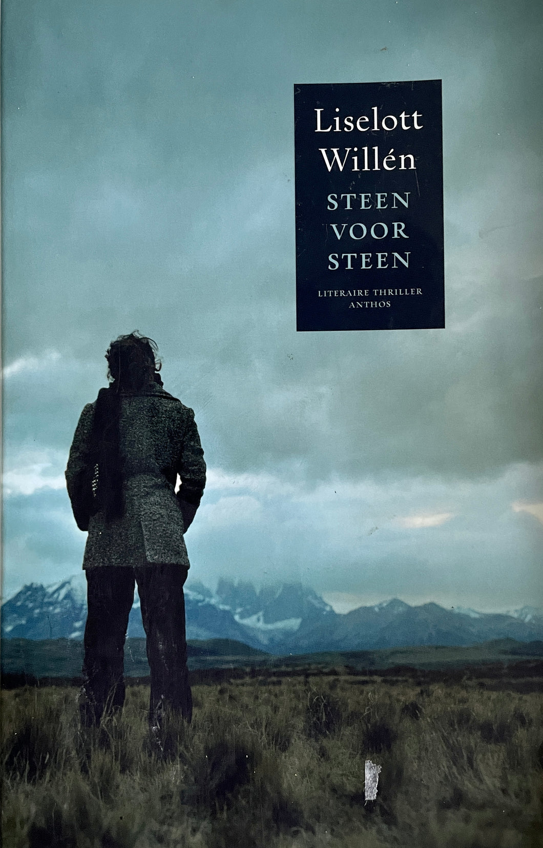 Willén Liselott - Steen voor steen