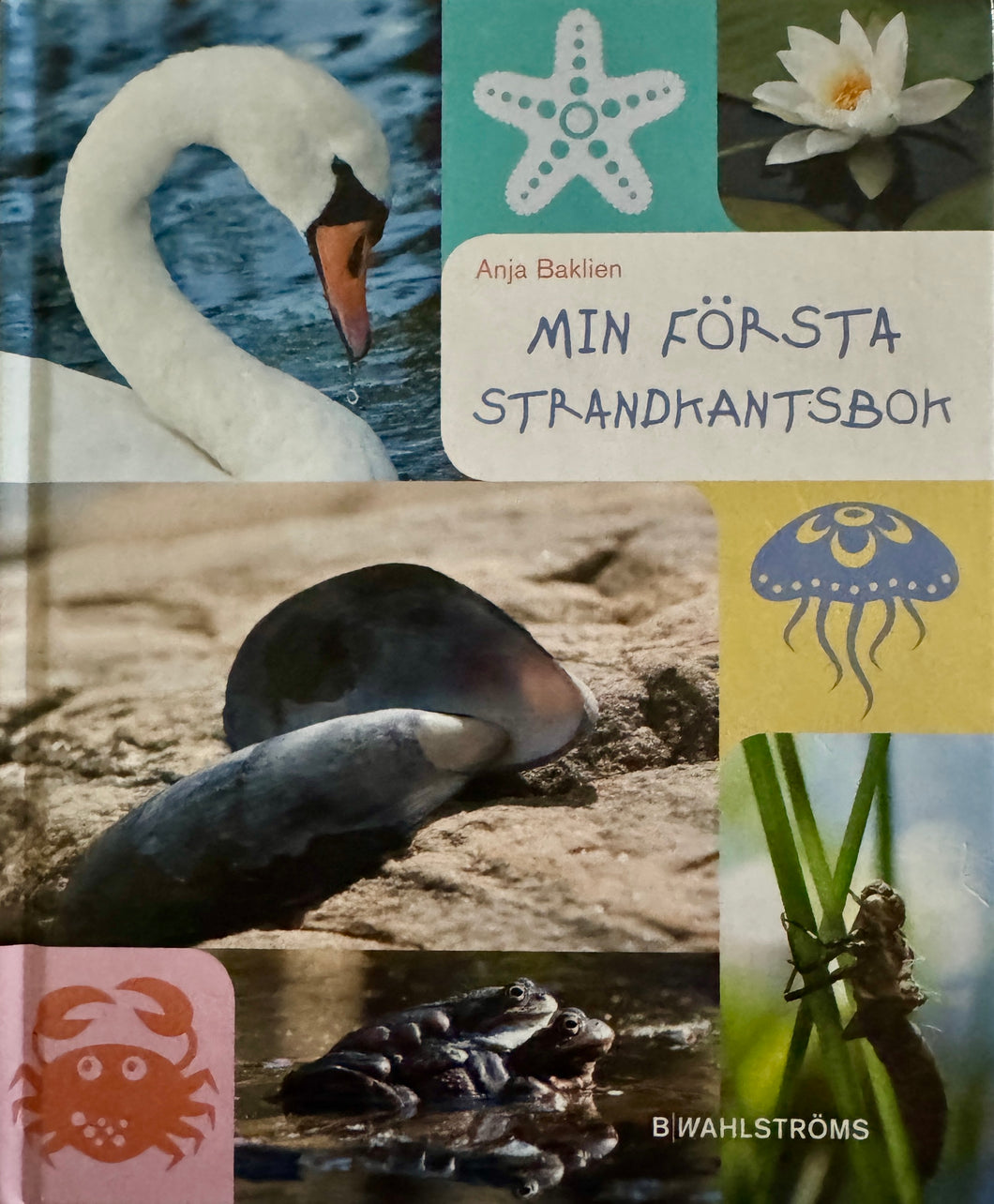 Baklien Anja - Min första standkantsbok