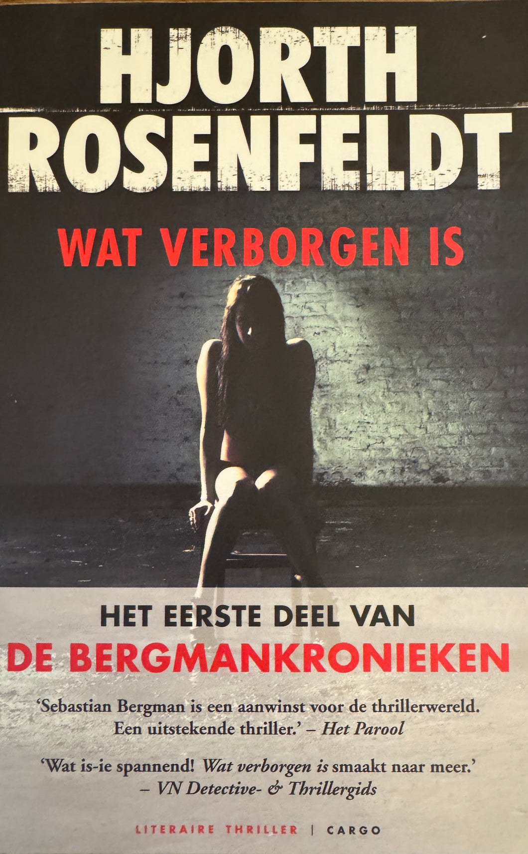 Hjorth & Rosenfeldt - Bergmankronieken 1/Wat verborgen is