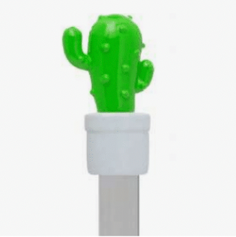 Bladwijzer cactus