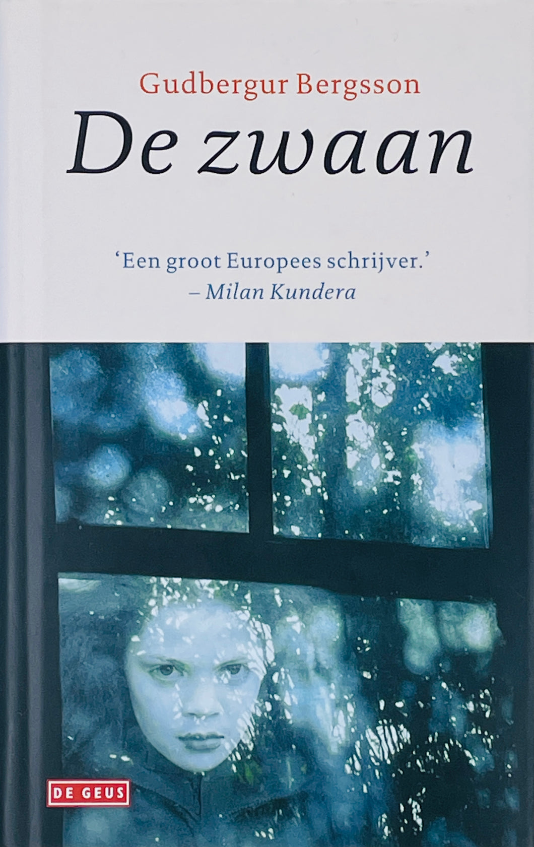 Bergsson Gudbergur - De zwaan