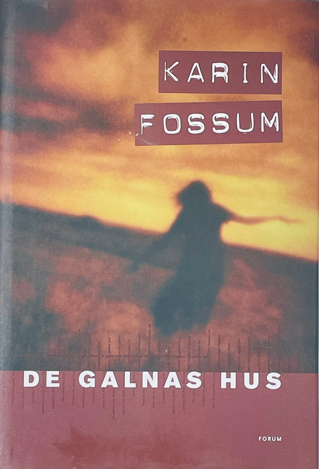 Fossum Karin - De galnas hus