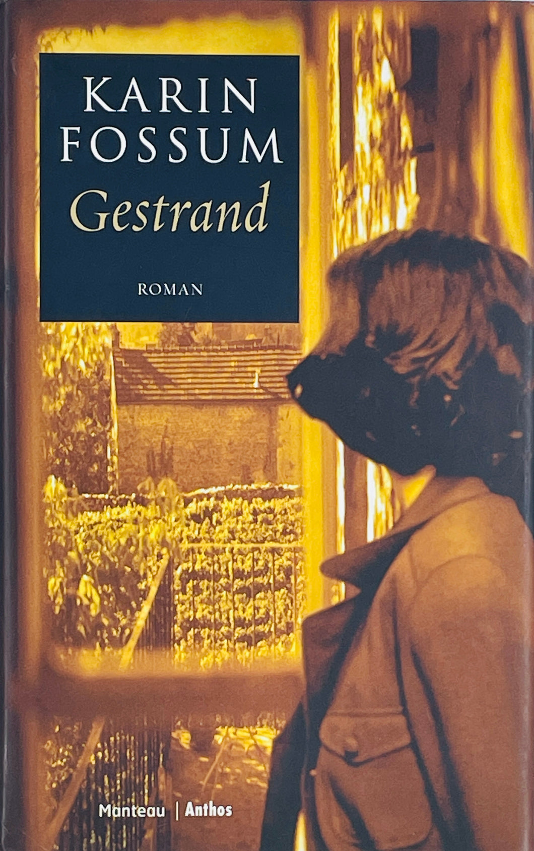 Fossum Karin - Gestrand