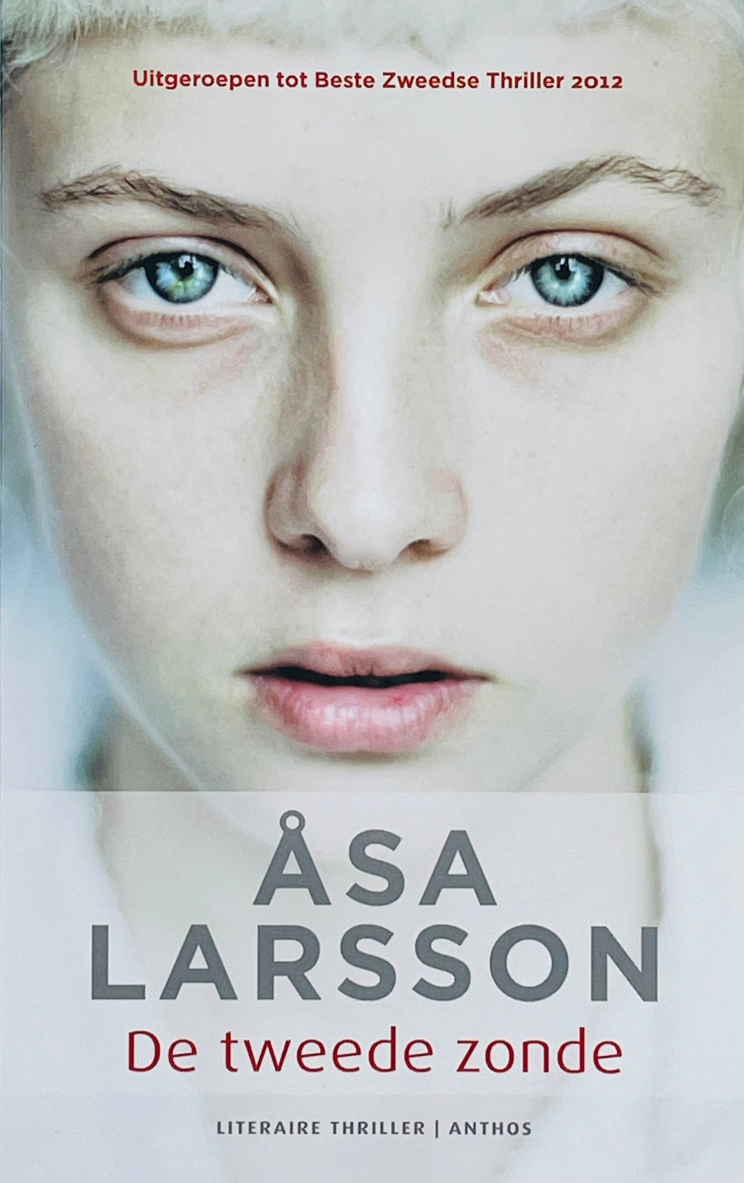 Larsson Åsa - Rebecka Martinsson 3/De tweede zonde