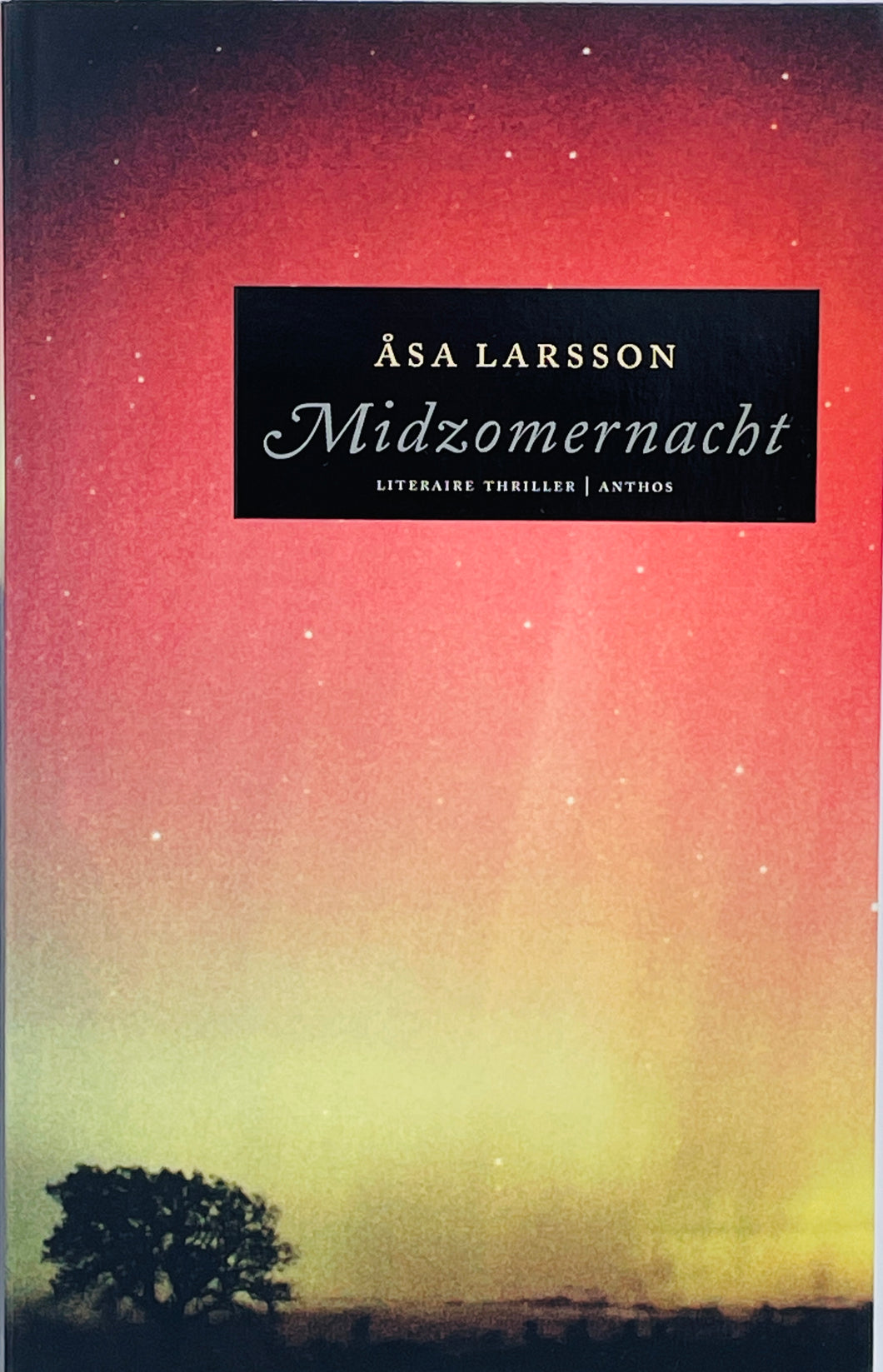 Larsson Åsa - Rebecka Martinsson 2/ Midzomernacht