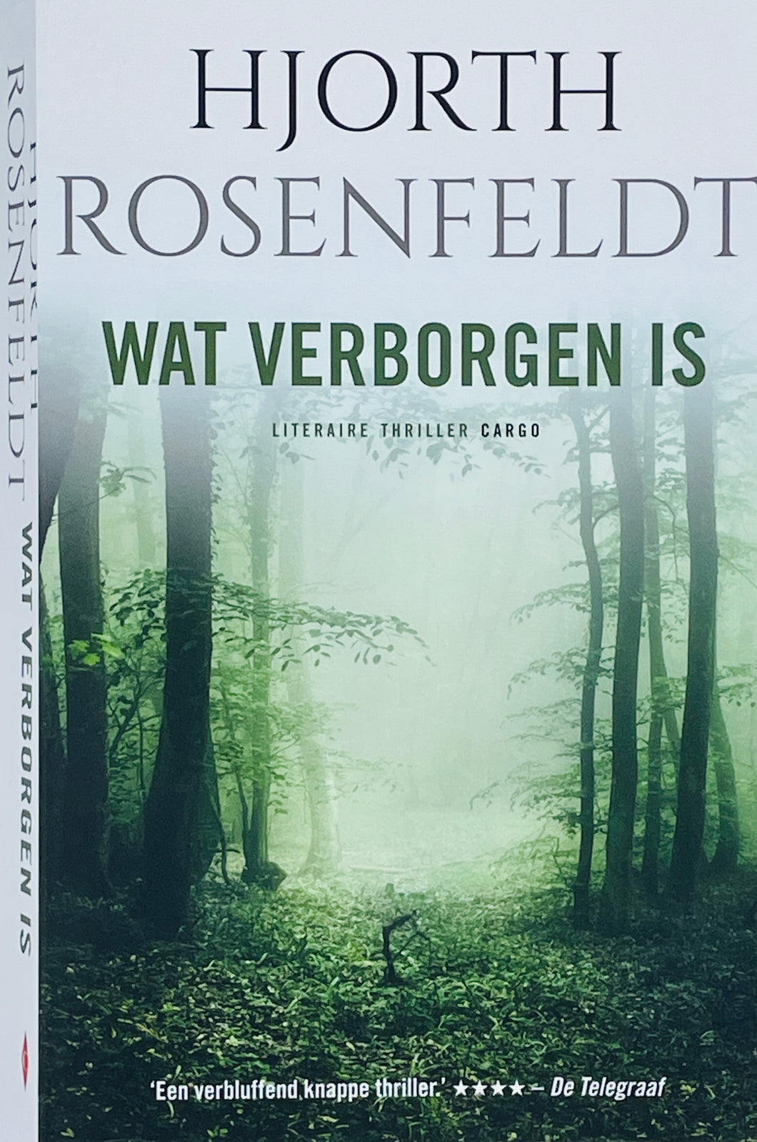 Hjorth & Rosenfeldt - Bergmankronieken 1/Wat verborgen is