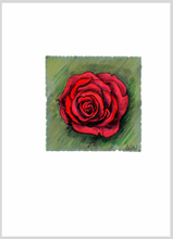 Afbeelding in Gallery-weergave laden, Dubbele kaart &amp; omslag - roosje
