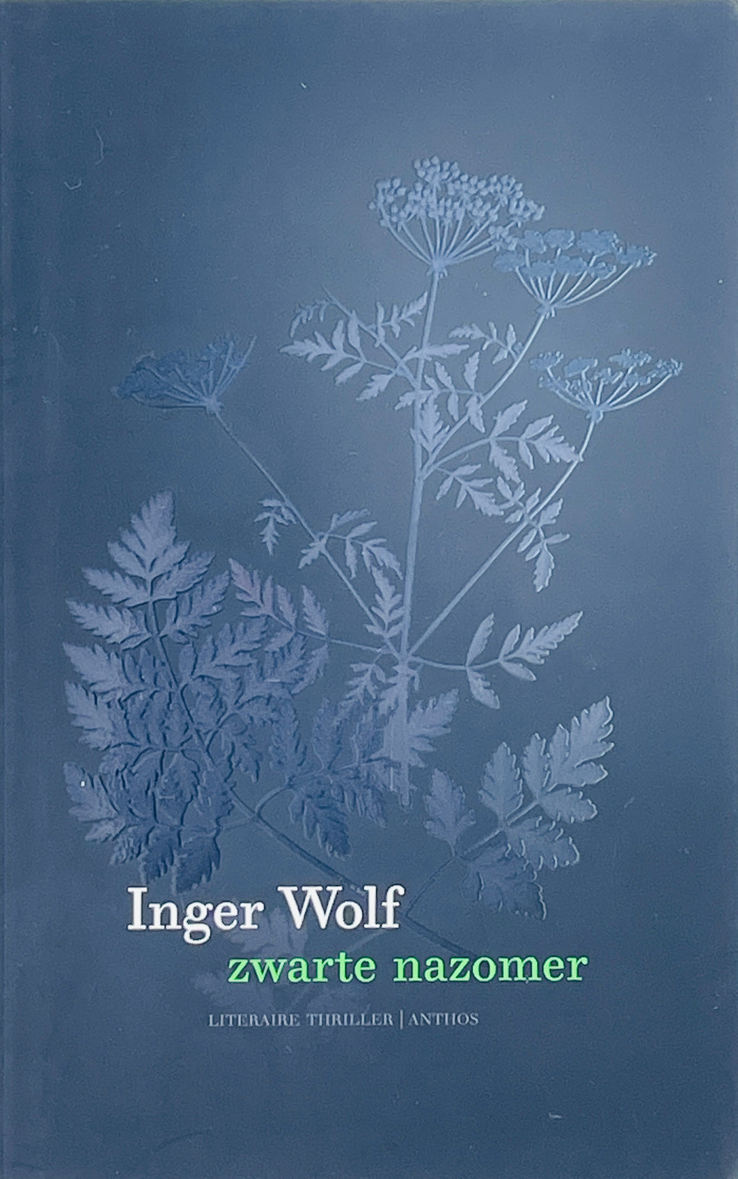 Wolf Inger - Zwarte nazomer