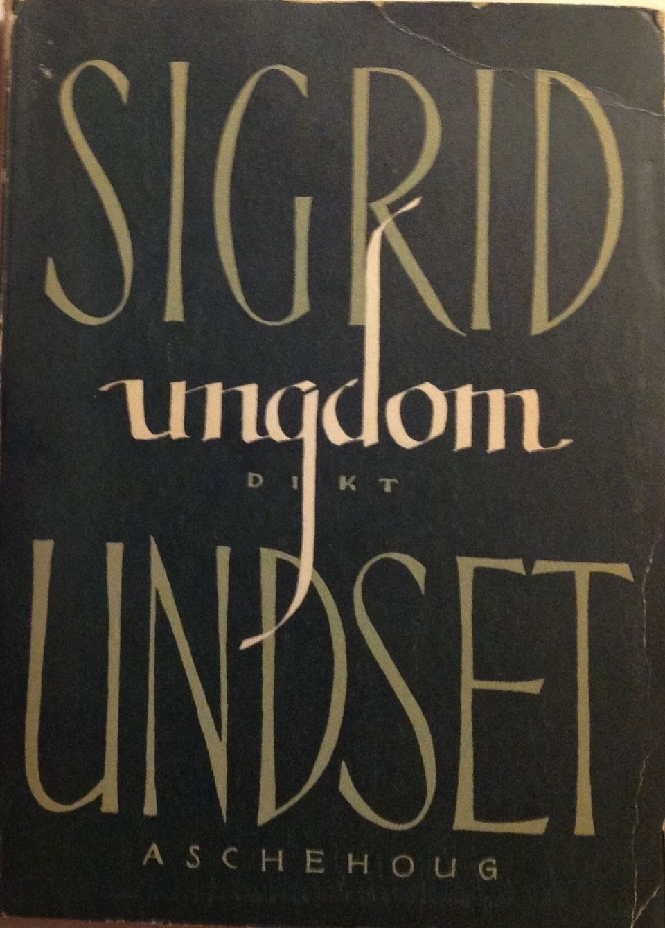 Undset Sigrid - Ungdom